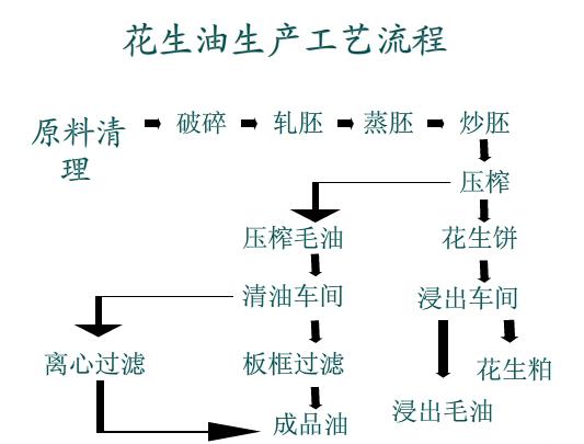 雙象牌花生榨油機(jī)